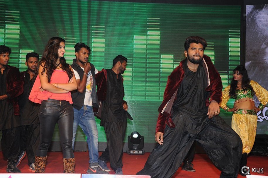 Hora-Hori-Movie-Audio-Launch